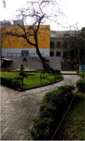 Greek Campus